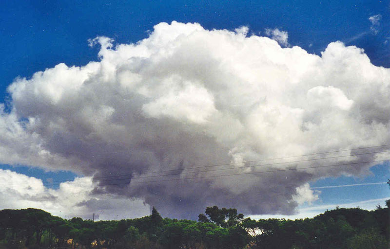 C�mulus congestus con virga en su base.