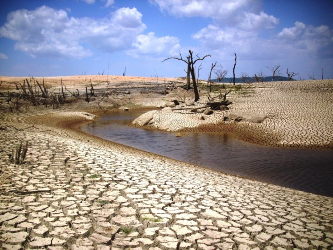 Resultado de imagen para IMAGENES DE UN AMBIENTE EN SEQUIA