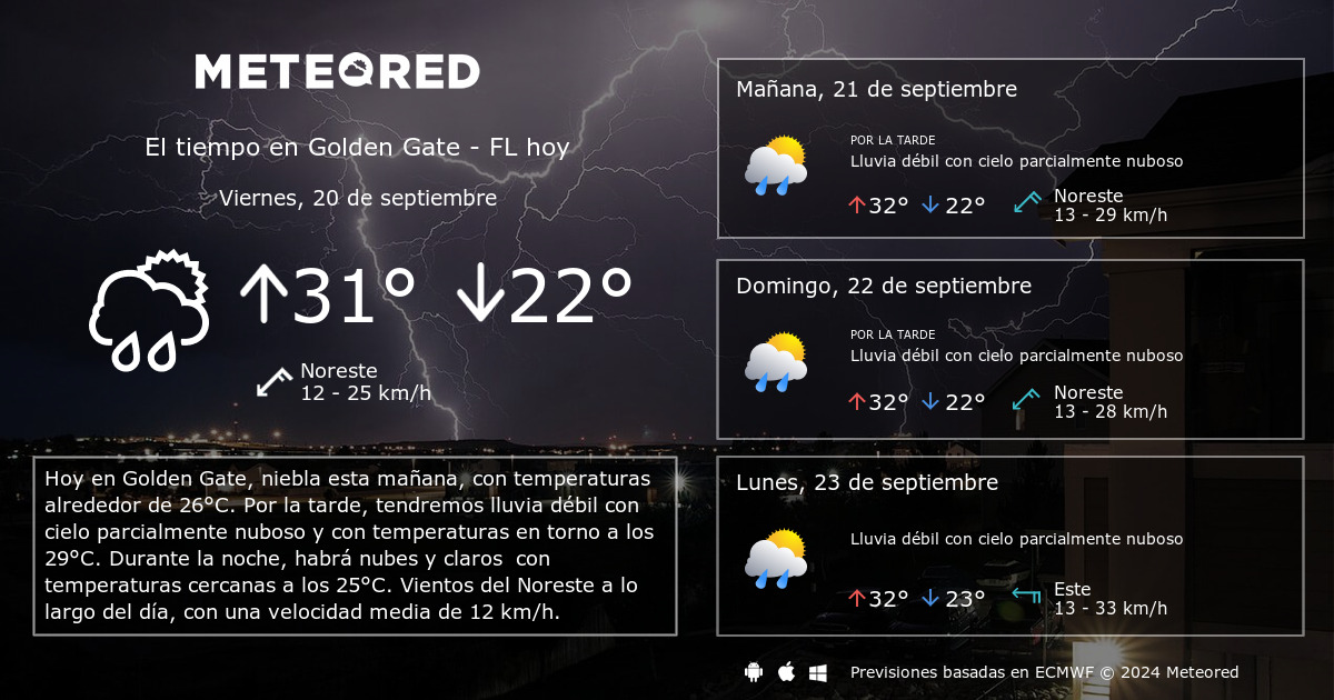 La grandeza del tiempo: Análisis Noro Noro no mi #GoldOpa