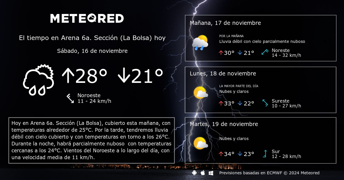 Sección: Los tiempos del mañana